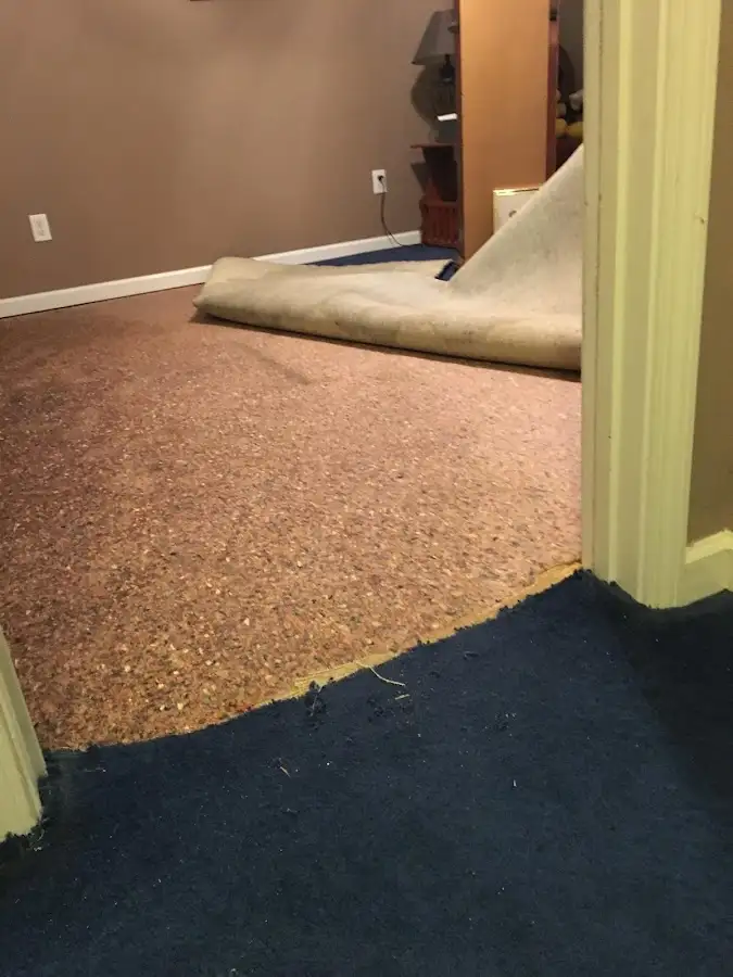 Carpet pad removal revealing water damage during Water Mitigation Services in Edison