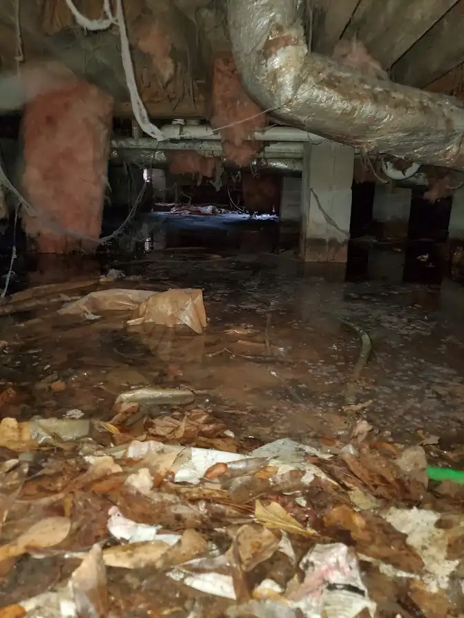 Crawl space flood assessment for Leak Detection & Repair in Edison