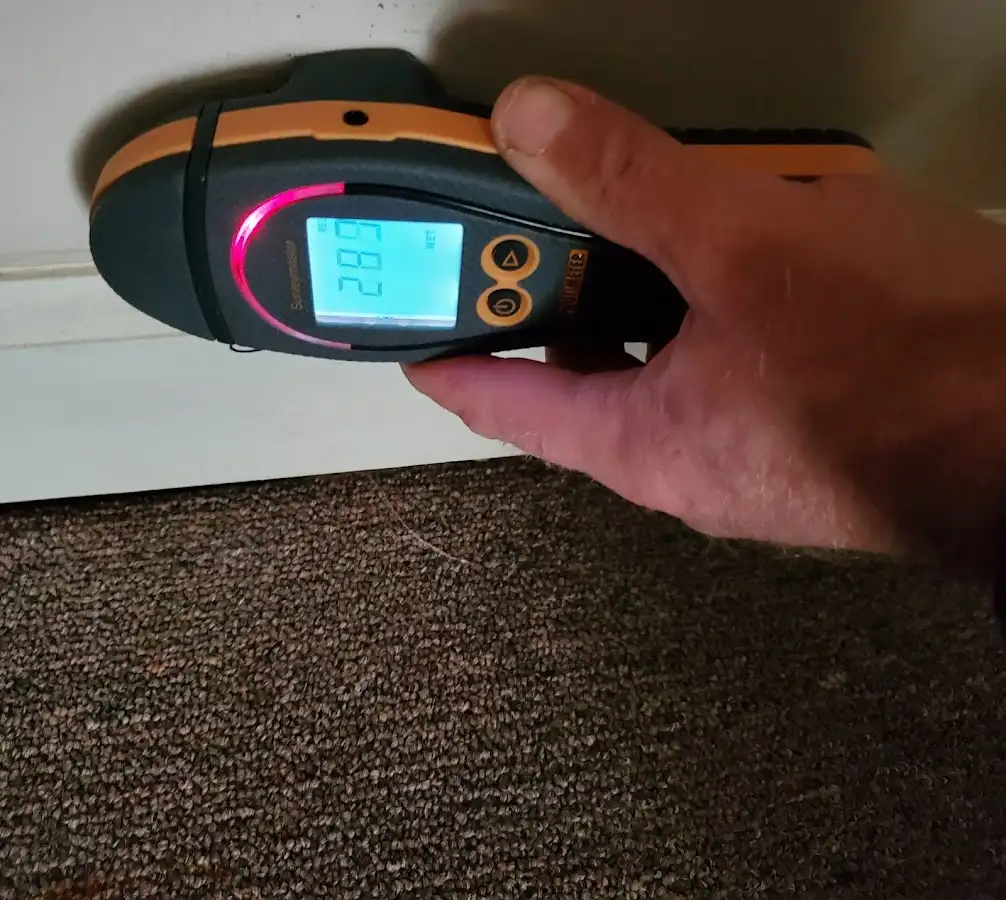 Moisture detection at baseboard during Sewage Cleanup & Sanitation in Edison